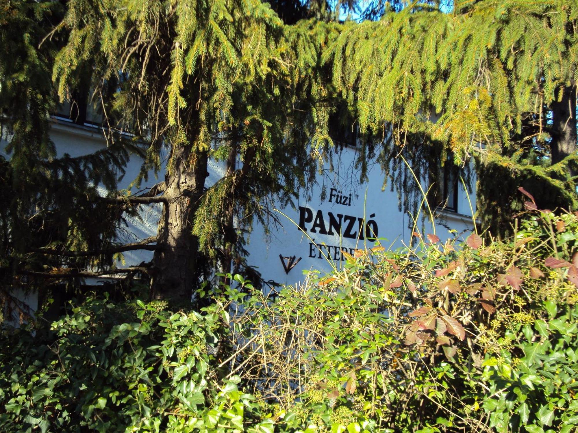 Bed and Breakfast Fuezi Panzio Шопрон Екстер'єр фото